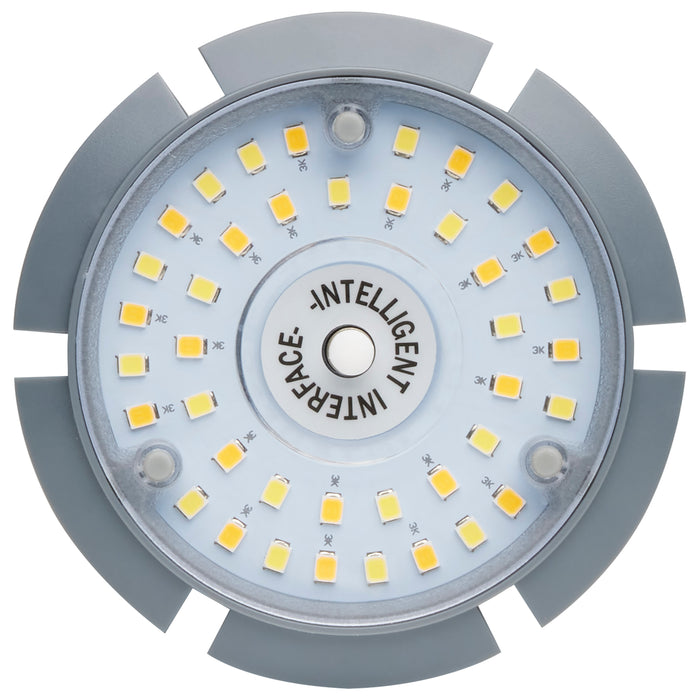 54W/LED/CCT/277-480V/EX39 , Lamps , Hi-Pro, Corncob,HID Replacements,LED,Mogul Extended,Warm to Cool White,White