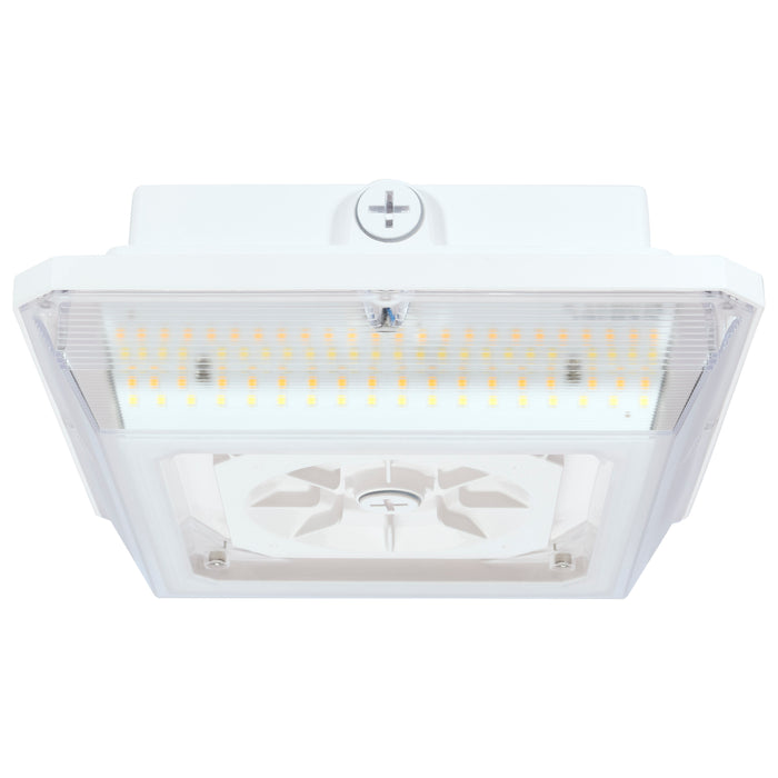 LED WIDE BEAM ANGLE CANOPY , Fixtures , NUVO, Canopy,Canopy Fixture,LED,Surface Mount