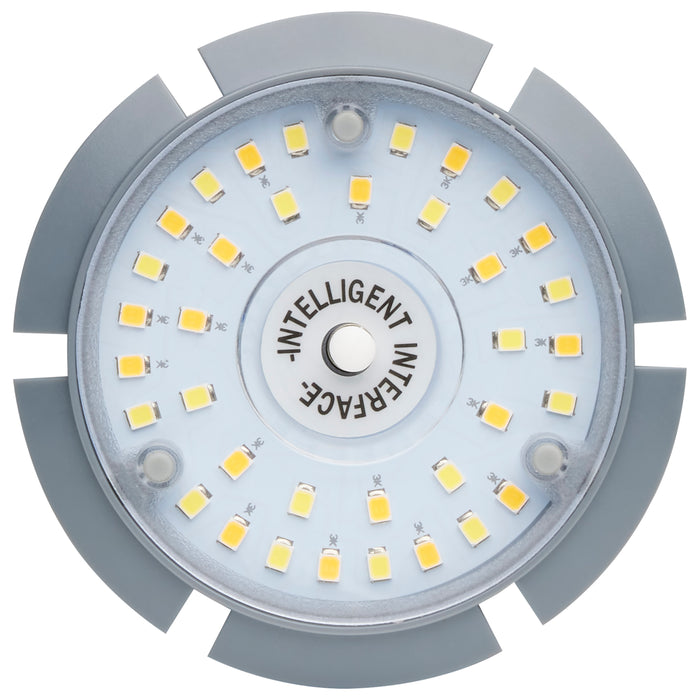 36W/LED/CCT/277-480V/E26 , Lamps , Hi-Pro, Corncob,HID Replacements,LED,Medium,Warm to Cool White,White