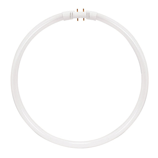 FPC22/835 #20712 , Lamps , Sylvania, 2GX13 (4-Pin),Circline,Circline - T5-T6-T9,Fluorescent,Frost,Neutral White,T5