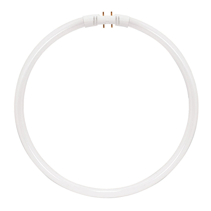 FPC22/835 #20712 , Lamps , Sylvania, 2GX13 (4-Pin),Circline,Circline - T5-T6-T9,Fluorescent,Frost,Neutral White,T5