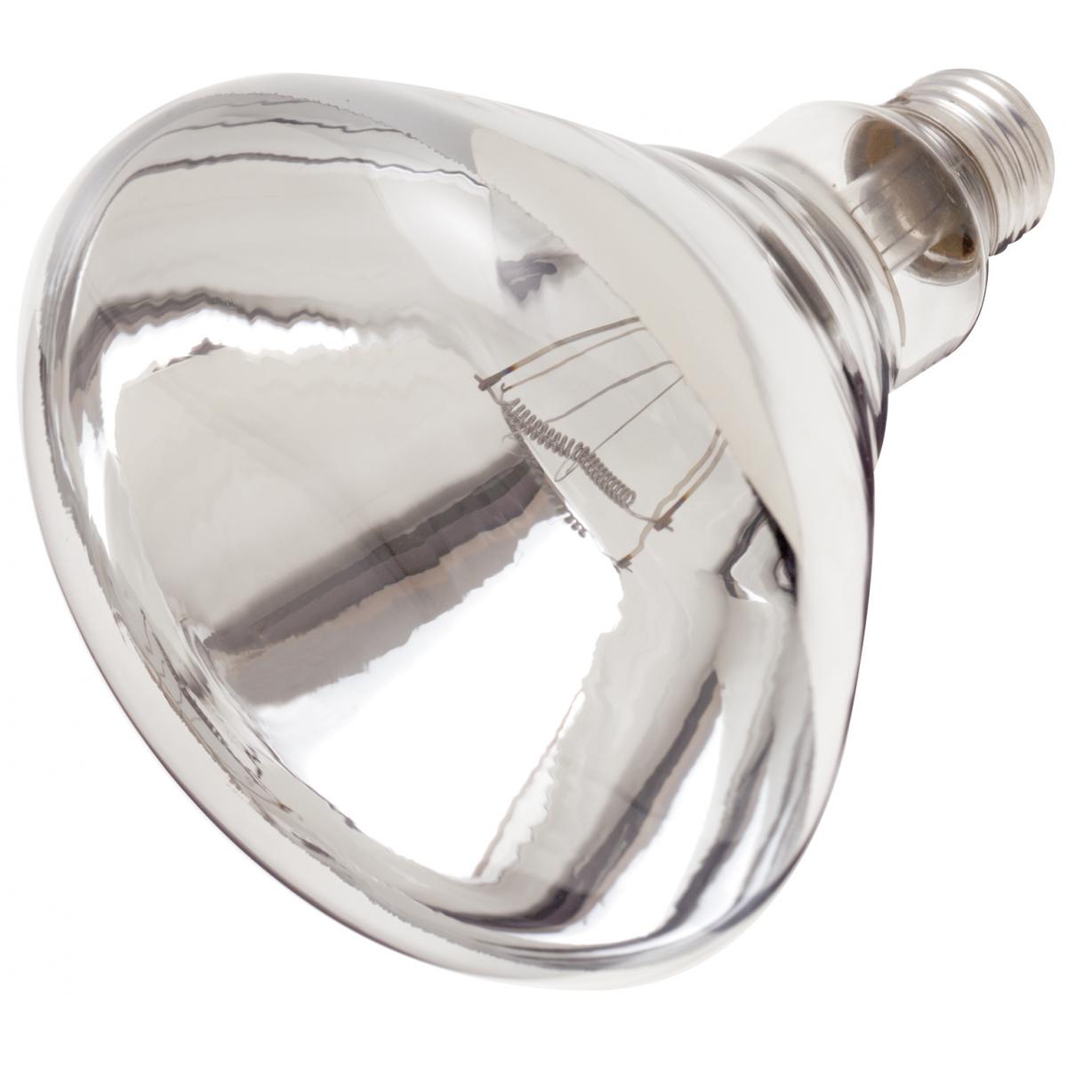 SATCO 250 Watt R40 Incandescent - Clear Heat - 6000 Average rated hours ...