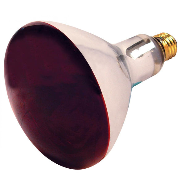 Red Solid R40 SATCO 250 Watt R40 Incandescent - Red Heat - 6000 Average rated hours ...