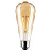2.5ST19/AMB/LED/E26/20K/120V , Lamps , SATCO, LED,LED Filament,Medium,ST19,Transparent Amber