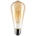 2.5ST19/AMB/LED/E26/20K/120V , Lamps , SATCO, LED,LED Filament,Medium,ST19,Transparent Amber